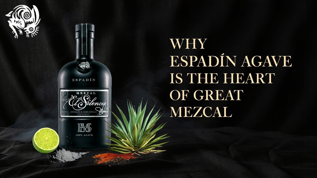 Why Espadín Agave Is the Heart of Great Mezcal