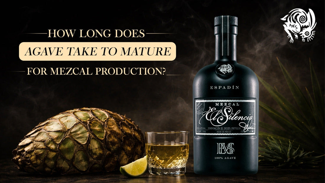 How Long Does Agave Take to Mature for Mezcal Production?